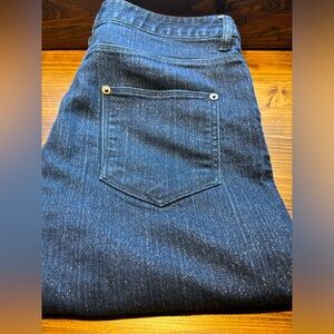 EUC Beautiful BURBERRY London shimmering cropped jeans, SZ 28